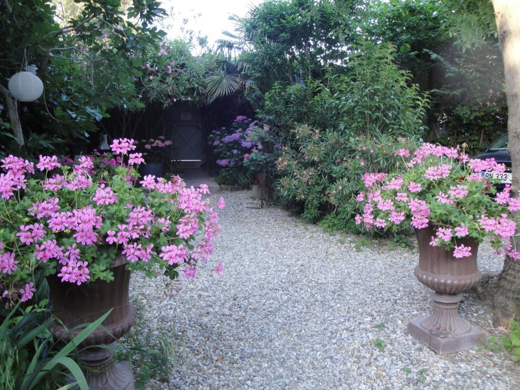La Villa-Carcassonne Ngoại thất bức ảnh